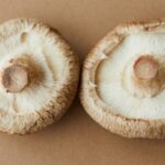 Quinoa Stuffed Portobello Mushrooms with Lemon-Herb Sauce