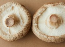 Quinoa Stuffed Portobello Mushrooms with Lemon-Herb Sauce
