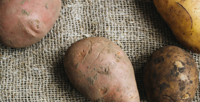tuna sweet potato cat recipe image of potatoes